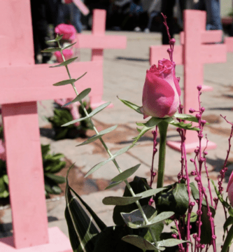 violencia de genero