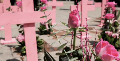 violencia de genero