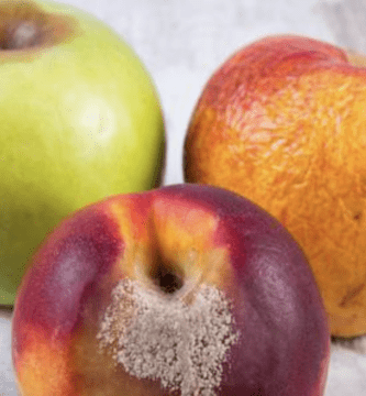 fruta podrida