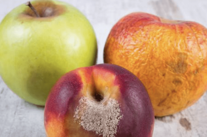 fruta podrida