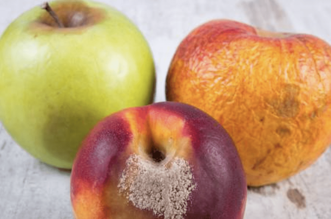 ¿Cortas la parte podrida de la fruta y te comes el resto? Tu salud puede estar en riesgo