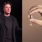 chip elon musk