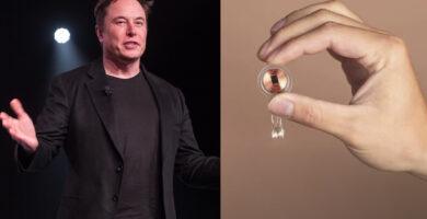 chip elon musk