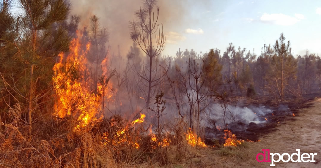 incendio