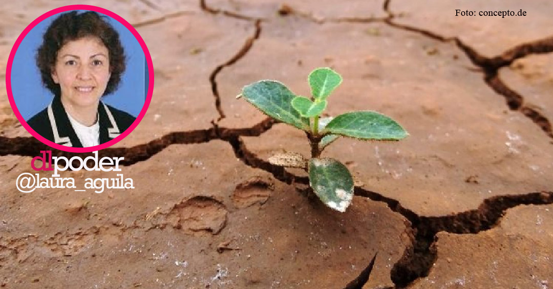 resiliencia educativa
