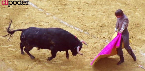 Corridas de toros en Sinaloa serán clasificadas como crueldad animal