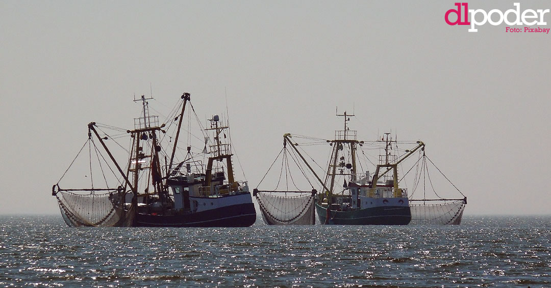 pesca ilegal