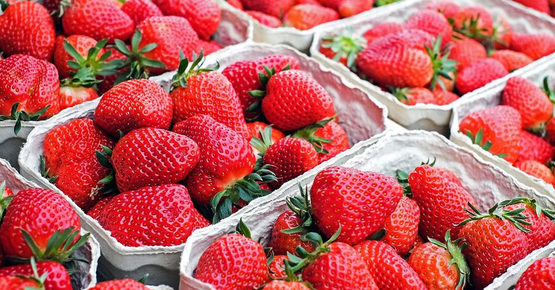 hepatitis fresas México