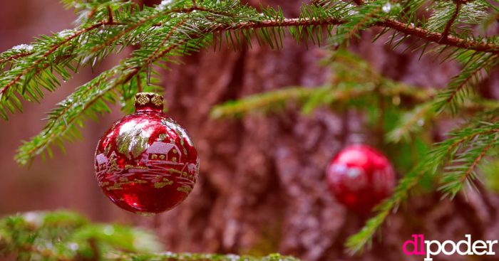 anpec fiestas decembrinas