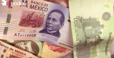Actividad económica