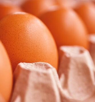 Huevos ilegales Huevos mexicanos Estados Unidos huevos Huevos aduana