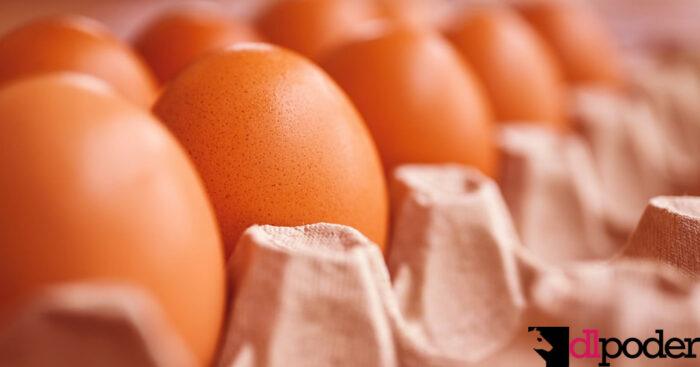 Huevos ilegales Huevos mexicanos Estados Unidos huevos Huevos aduana