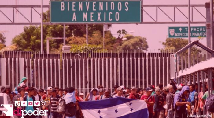 migración