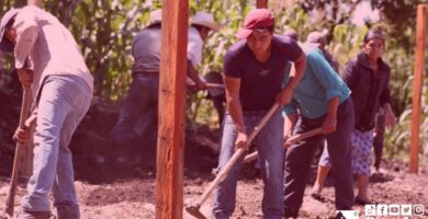Sembrando Vida Programas del Bienestar Centroamérica