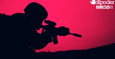 armas exclusivas ejército México Estados Unidos