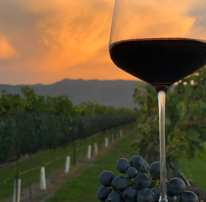 Parras Coahuila
Parras de la Fuente
Parras coahuila clima
Parras coahuila casa madero
Parras de la fuente clima
Parras coahuila que hacer
parras coahuila viñedos
parras coahuila fotos
parras de la fuente coahuila pueblo mágico
